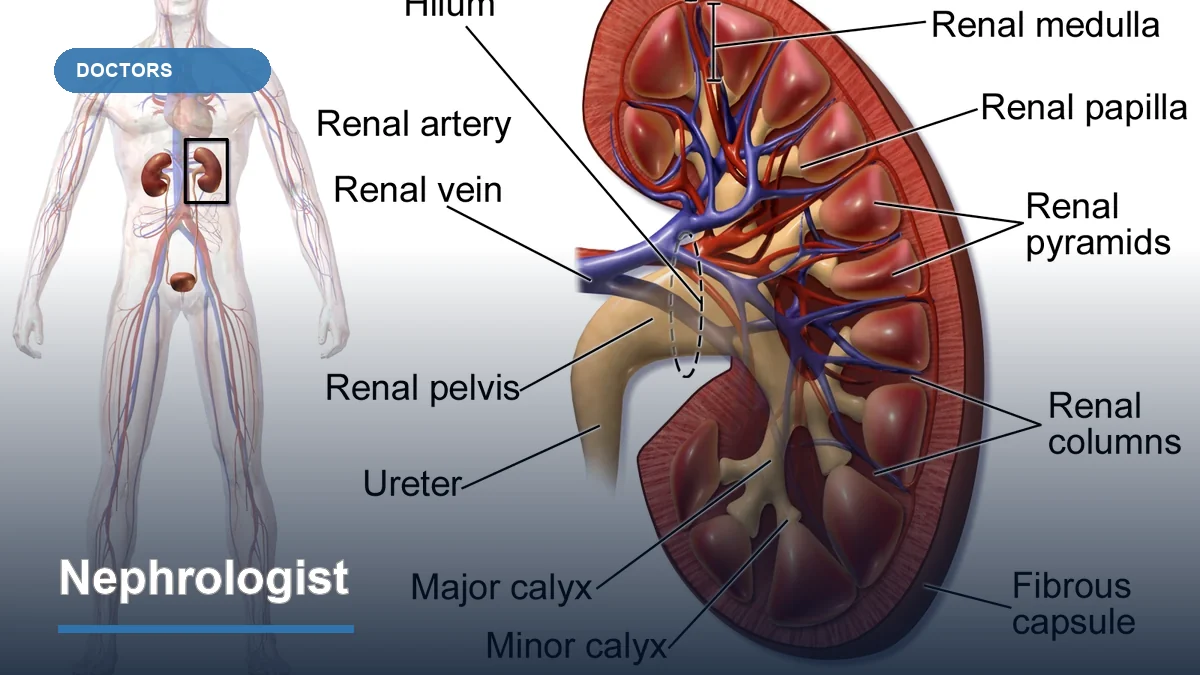 Nephrologist