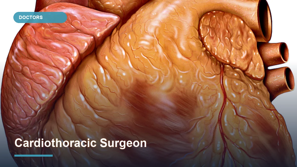 Cardiothoracic Surgeon