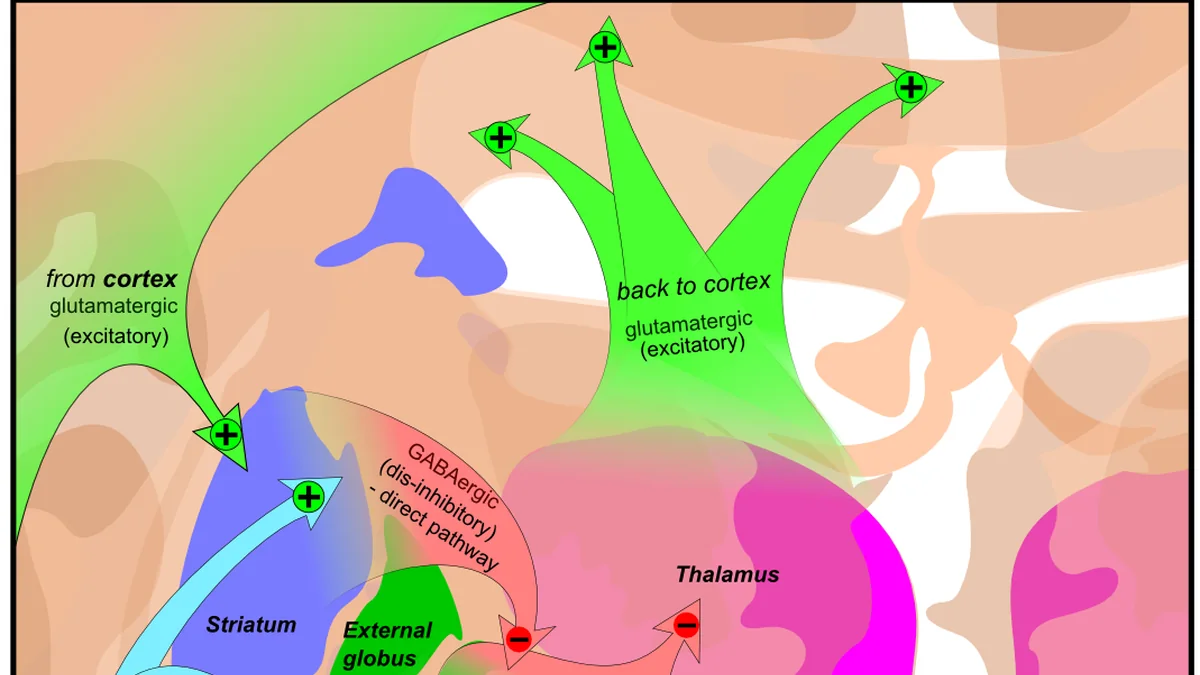Parkinson's Disease
