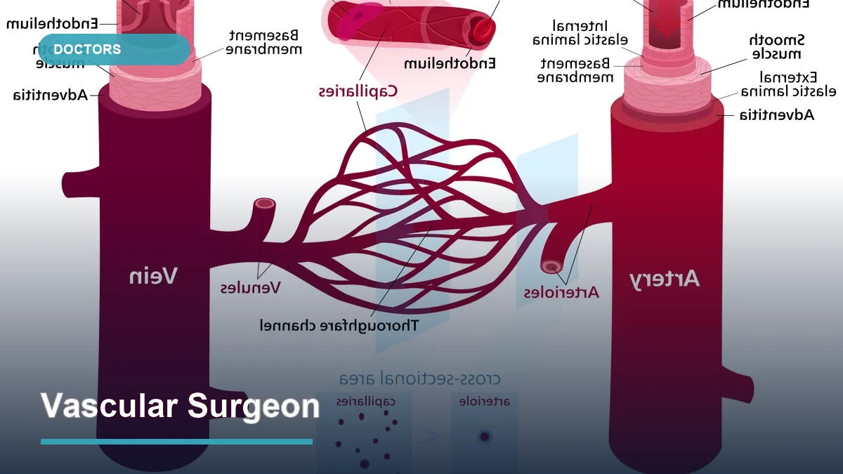 Vascular Surgeon